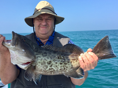 Angling Adventures Gag Grouper